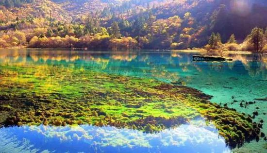 門票那么貴 沒法玩耍了！