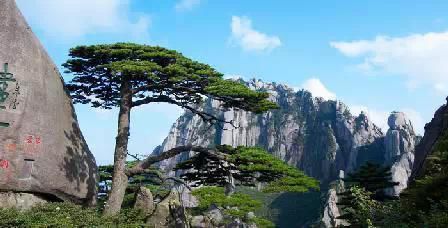 門票那么貴 沒法玩耍了！