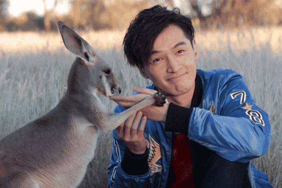 小袋鼠還有親到胡歌喲！