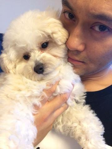 張智霖失言稱要將愛犬人道毀滅 張智霖失言稱要將愛犬人道毀滅