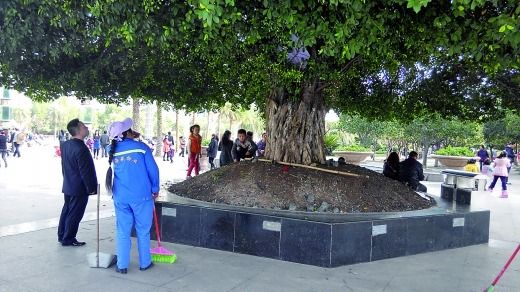 物管人員打算拆除小帳篷（白圈），小孩在一旁依依不舍