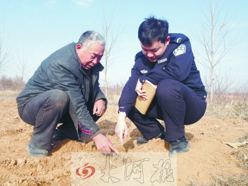 牡丹苗被盜之后，郭萬通又補(bǔ)種的牡丹苗已經(jīng)發(fā)芽