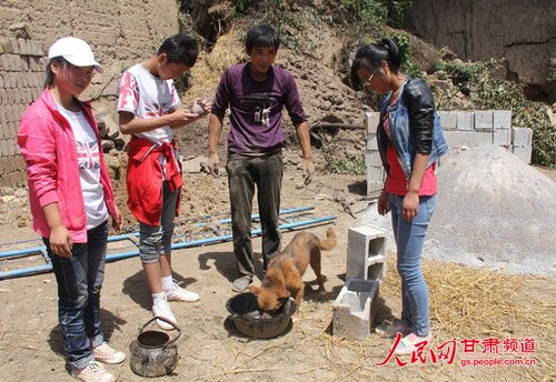 渴壞了的小黃狗在喝水。王生元/攝