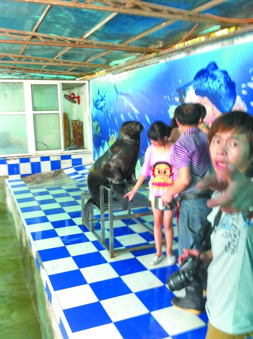 海獅館內的攝影師警惕性很高,禁止記者拍照。