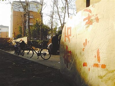 昨日，“上海奇石盆景博物館”原址上，已矗立起小區(qū)樓盤，而刻著博物館名的巨石，廢棄在一旁。本版圖片/新京報(bào)記者 張永生 攝