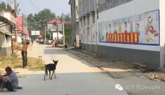 孫莊村一角。新京報記者安鐘汝 攝