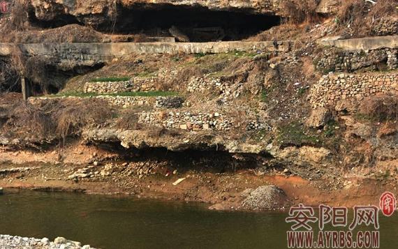 安陽河崖山洞中驚現“懸棺” 有的裸露出骸骨