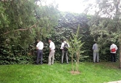 6月30日，頤和園內(nèi)綠地上，多名游客在小解。 網(wǎng)友“攝影老鬼” 攝