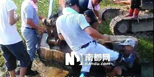 幾名戴黑帽的男子將一名老人推入水塘，后反復(fù)腳踹。