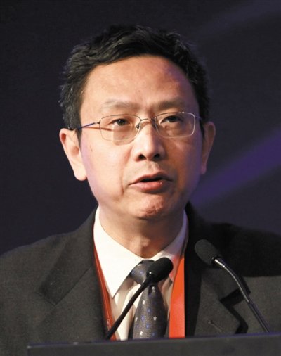 財(cái)政部財(cái)政科學(xué)研究所所長賈康。圖/CFP