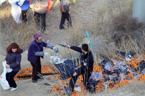 蘭州貨車側(cè)翻橘子遭百余村民哄搶，警察拔槍制止