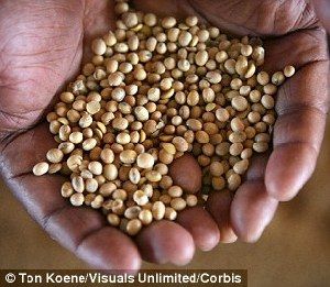 超強(qiáng)厄爾尼諾將引發(fā)全球極端天氣，中國北方或極端高溫-