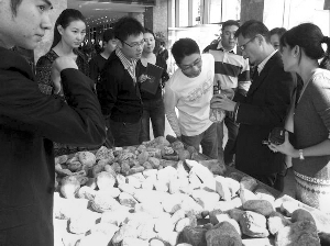 前段時(shí)間，夫子廟古玩城舉行的一場賭石活動，吸引了不少人參與