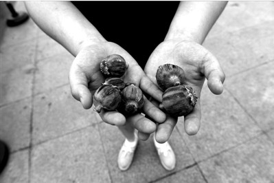 “大煙殼”輕易就可以買到。下圖：女?dāng)傊髂贸霾卦诩t色兜子里的“大煙殼”，向記者兜售。京華時(shí)報(bào)實(shí)習(xí)記者趙思衡攝