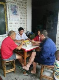 掃水掃不及，胥家鎮(zhèn)柏河村的居民干脆打起了麻將。
