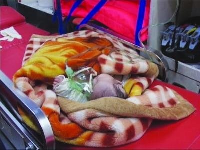 女?huà)氡贿z棄路旁險(xiǎn)遭車輪碾壓 警方已送福利院