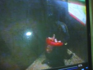 男子將侯某撲倒，侯某反抗。