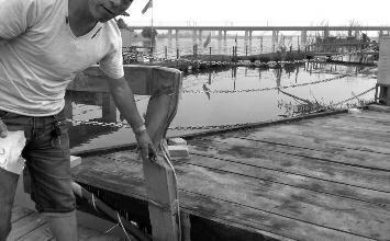 鼻孔里凝著血痂、全身多處擦傷的周先生仍有些驚魂未定。