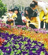 近距離才能拍得更真切。