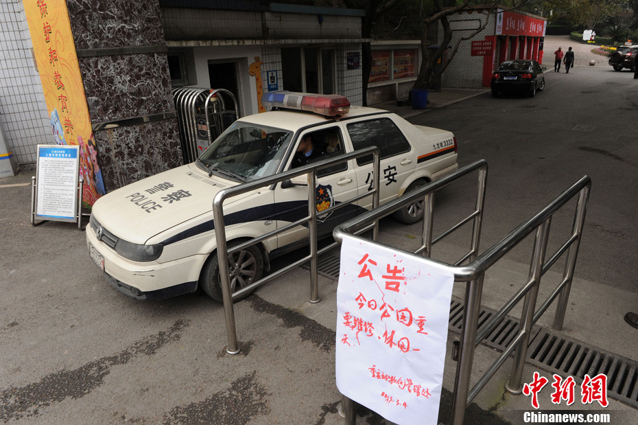 重慶動(dòng)物園兩頭獅子“越獄” 已被麻醉移至籠舍