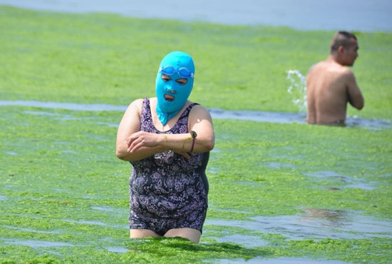 2013年7月3日，山東青島青島高溫來襲，“青島大媽”不懼滸苔，戴著“強(qiáng)盜面具”出現(xiàn)在海水浴場消暑降