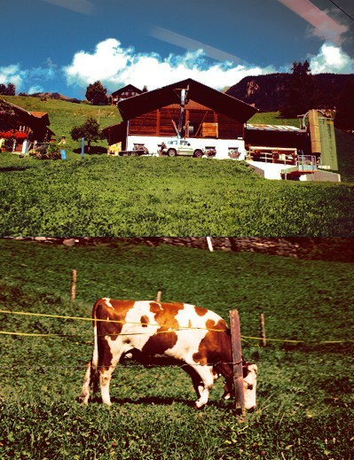 特色農(nóng)莊體驗田園生活 特色農(nóng)莊體驗田園生活