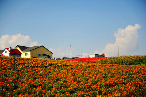 特色農(nóng)莊體驗田園生活 特色農(nóng)莊體驗田園生活
