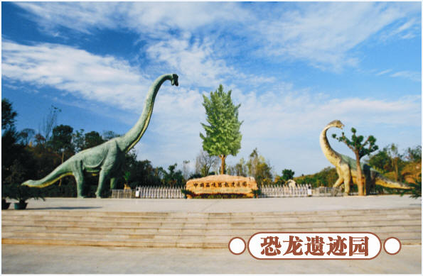 圣誕去哪兒？省內(nèi)歡樂地推薦