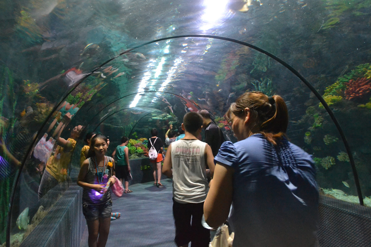 春節(jié)去哪兒？出游地圖告訴您！