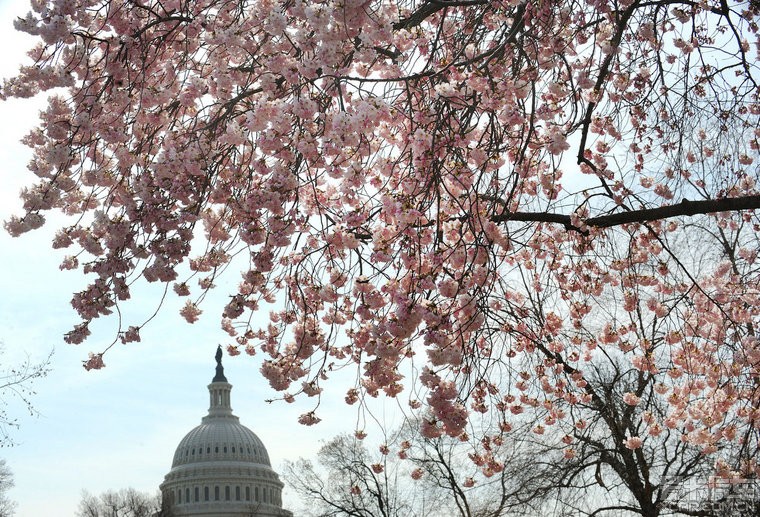 出行去哪兒不用愁 細數全球春季實惠旅行地