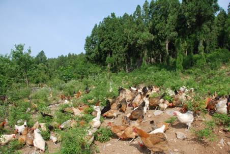 旅游真奇妙 這些事你知道嗎？