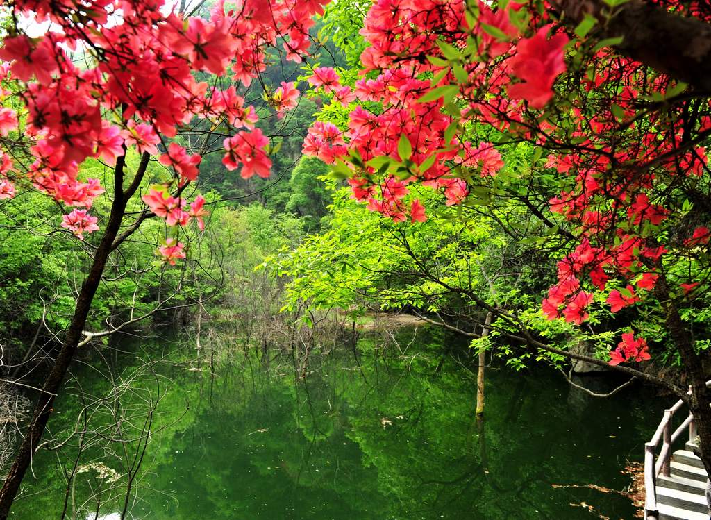 母親節(jié)河南景區(qū)優(yōu)惠大波來襲！