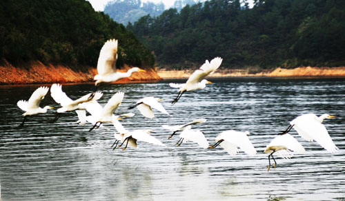考完去哪兒？千島湖中、高考生門(mén)票大優(yōu)惠！