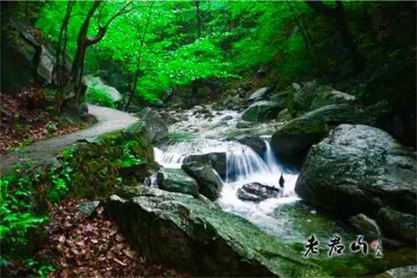 老君山第四屆中原車(chē)友狂歡節(jié) 激情房車(chē)派對(duì)