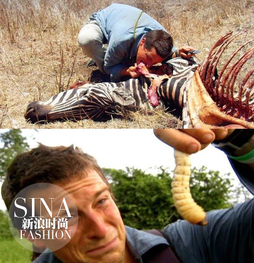 大型動物和肉蟲子……也都能生吞活剝！