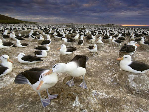 圣誕私奔 海洋小島上過(guò)假期