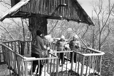 　　clubmed里有來自國(guó)外的滑雪教練教兒童滑雪?！? oldsrc=