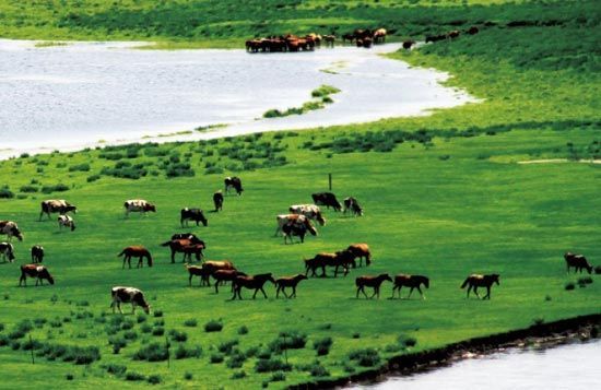 　　處處翠色欲流,馬兒自然入畫?！? complete=