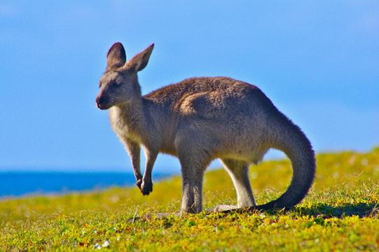 全家出國(guó)游去哪里？推薦十佳旅游勝地