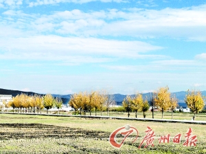 　　大理洱海湖畔美麗的鄉(xiāng)村景色。