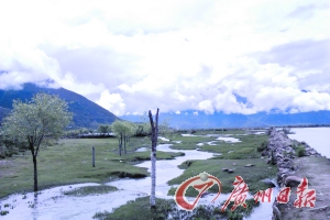 小路的一側(cè)是小溪,另一側(cè)是河流。