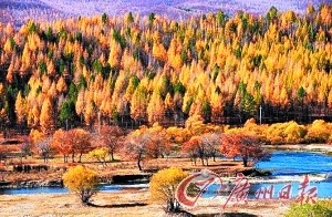 　　呼倫貝爾秋色。