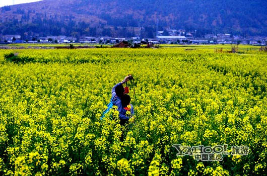 　　不論從人文氣息還是田園自然風(fēng)光,都值得我們?？?。(圖片來源:CFP)