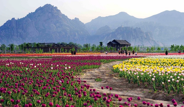 別樣蜜月，河南最適宜新婚度假的景區(qū)