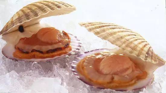 秋季最適合吃的海鮮是這10種 你吃對(duì)了嗎？