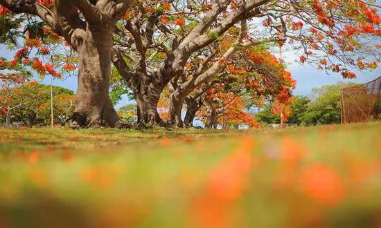 適合在冬天旅游的十個絕美海島！