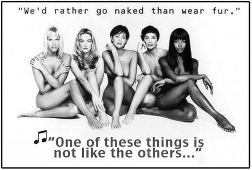 時(shí)尚圈第一組群?？棺h皮草大片