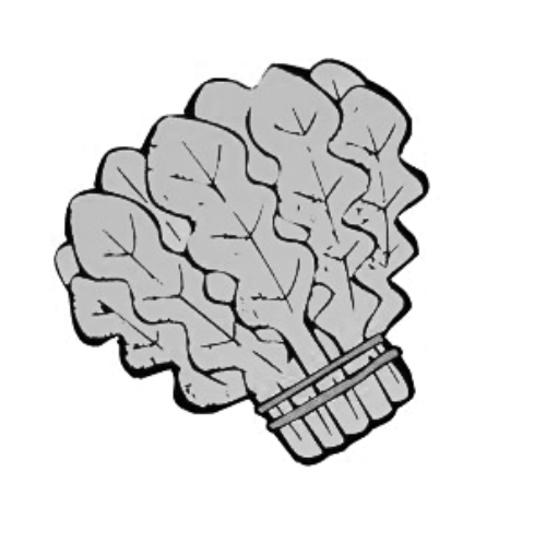 雪后菜價(jià)瘋漲15倍？沒(méi)恁夸張 元旦豬肉雞蛋或漲價(jià)