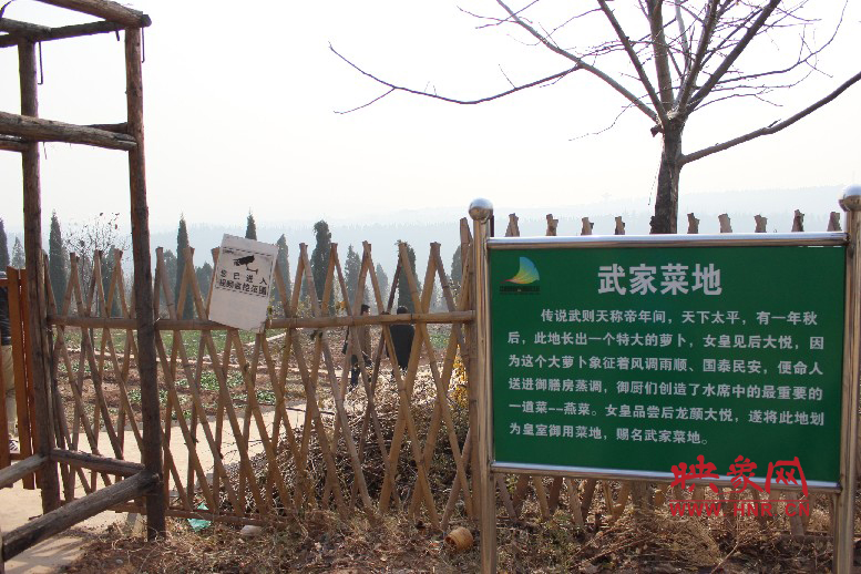 武家菜地就是這，據(jù)說里面有個(gè)特大的蘿卜