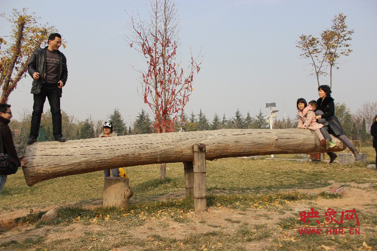 巨大的蹺蹺板，一棵樹。。?？赐娴亩噜? oldsrc=